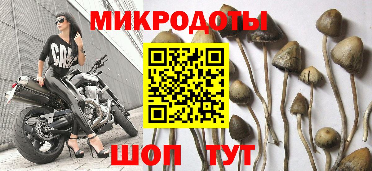 Кумертау  Псилоцибиновые грибы мицелий  Вход с VPN 